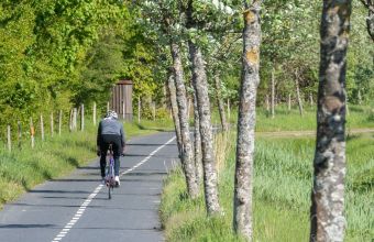 042_RAD_Onsdag